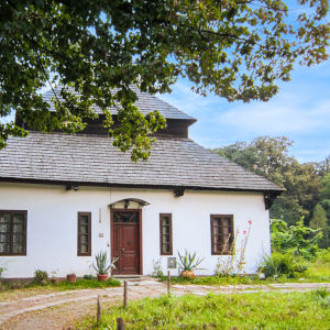 Dwory, dworki i pałace